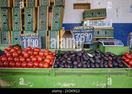 Santiago, Chile - 26. November 2023: Frisches Obst und Gemüse im Mercado La Vega im Zentrum von Santiago Stockfoto