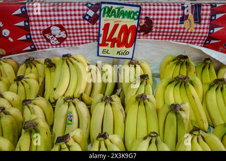 Santiago, Chile - 26. November 2023: Bananen im Mercado La Vega im Zentrum von Santiago Stockfoto