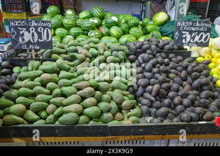 Santiago, Chile - 26. November 2023: Avocados im Mercado La Vega im Zentrum von Santiago Stockfoto