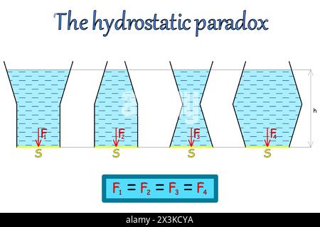 Grafische Darstellung des hydrostatischen Paradoxons auf vier Gefäßen mit einer Flüssigkeit unterschiedlicher Form und Volumen, während die Gefäße denselben Boden haben Stock Vektor
