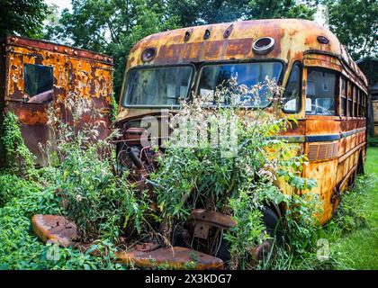 Verlassener rostiger gelber Schulbus in bewachsener Outdoor-Umgebung Stockfoto