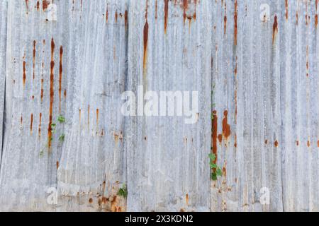 Vorderansicht der Baustellenwand aus rostigem und gewelltem Metall. Abstrakter, hochauflösender Texturhintergrund, Kopierraum. Stockfoto