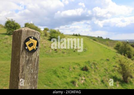 Zeiger für den North Downs Way Fußweg, auf Wye Downs, bei Frühlingssonne, in der Nähe von Ashford, kent, UK Stockfoto