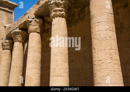 Spalten in der Säulenhalle, Tempel des Horus, Edfu, Ägypten Stockfoto