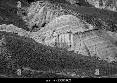 Eindrucksvolle Schwarzweißfotos, die detaillierte Texturen und dramatische Konturen karger Hügel aufnehmen. Das Bild weckt ein Gefühl von Einsamkeit und rauer Schönheit. Stockfoto