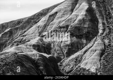 Atemberaubendes Schwarzweiß-Foto, das die komplexen, strukturierten Schichten einer Berglandschaft mit natürlicher Schönheit und geologischen Formationen festlegt. Stockfoto