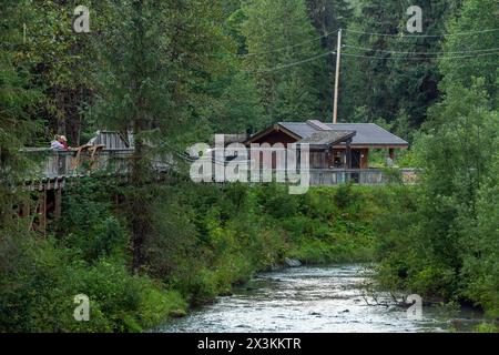 Menschen auf der erhöhten Promenade des Fish Creek beobachten einen Beobachtungsplatz im Tongass National Forest, Alaska, USA. Stockfoto