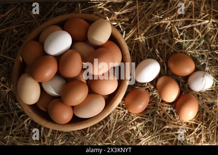 Frische Hühnereier auf getrocknetem Stroh, Draufsicht Stockfoto