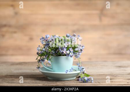 Schöne Vergissmeinnicht-Blumen in Tasse und Untertasse auf Holztisch, Nahaufnahme Stockfoto