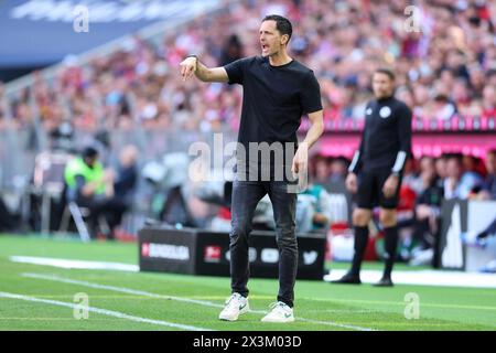 Fußball 1. Bundesliga 31. Spieltag FC Bayern München - Eintracht Frankfurt am 27.04.2024 in der Allianz Arena in München Dino Toppmoeller ( Trainer/Cheftrainer Frankfurt ) DFL-Vorschriften verbieten die Verwendung von Fotografien als Bildsequenzen und/oder Quasi-Video. Foto: Revierfoto Credit: ddp Media GmbH/Alamy Live News Stockfoto