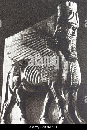 Shedu ist ein geflügelter Stier mit einem menschlichen Kopf aus dem Palast von Sargon II. Foto aus der Mitte des 20. Jahrhunderts. Stockfoto