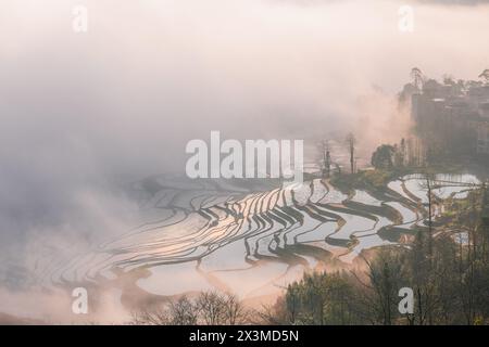 Sonnenaufgang über Reisterrassen von YuanYang in Yunnan, China, eines der jüngsten UNESCO-Welterbestätten Stockfoto