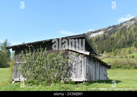 Wunderschöne Landschaft mit alten Bergen Blockhütte hoch in den österreichischen Alpen, Region Tirol, Österreich Stockfoto