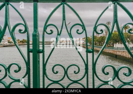 Tavira, Portugal, 8. Januar 2024. Ein Blick auf den Fluss durch kunstvoll verzierte grüne Schmiedeeisen der römischen Brücke, mit einer Möwe, die über dem Wasser in Ta fliegt Stockfoto