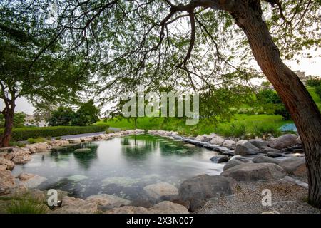 Schöner und grüner Park im Katara Cultural Village, Katara Lake Hill Stockfoto