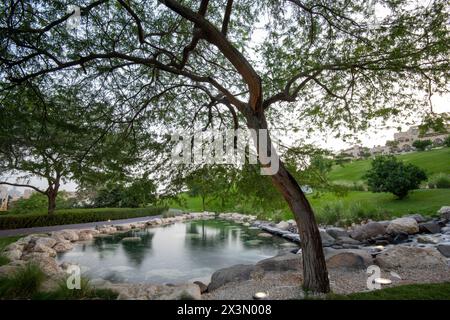 Schöner und grüner Park im Katara Cultural Village, Katara Lake Hill Stockfoto