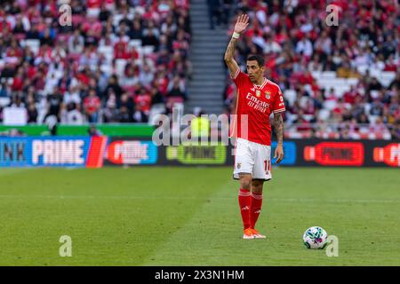 Lissabon, Portugal. April 2024. Angel Di Maria gibt Gesten während des Liga Portugal Betclic Fußballspiels zwischen SL Benfica und SC Braga im Estadio da Luz Stadion. (Endnote: SL Benfica 3 - 1 SC Braga) (Foto: Hugo Amaral/SOPA Images/SIPA USA) Credit: SIPA USA/Alamy Live News Stockfoto