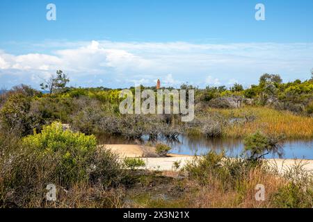 Old Quarry Sumpf auf North Head Manly, in der Nähe von Shelly Beach Lookout auf dem North Head Road Walking Trail, Sydney, NSW, Australien Stockfoto