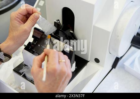 Rotationsparaffinmikrotom, Gewebeprobe vorbereiten, pathologische Anatomie. Krankenhaus Universitario Gran Canaria Arzt Negrin, Las Palmas de Gran Canari Stockfoto