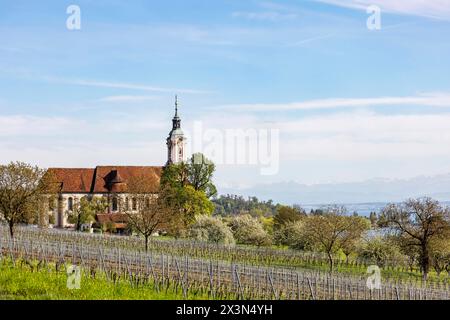 Wallfahrtskirche Birnau, Barockkirche am Nordufer des Bodensees, Uhldingen-Mühlhofen. // 14.04.2024: Uhldingen-Mühlhofen, Baden-Württemberg, Deutschlan Stockfoto