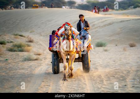 Kamelbesitzer, der auf einem bunten Wagen sitzt und auf einem Pfad im Sand nach Touristen sucht Stockfoto