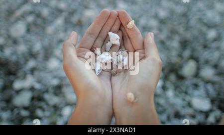 Eine Person steht mit Händen vor einem Hügel aus verschiedenen Muscheln. Das Individuum scheint die Muscheln genau zu untersuchen und sie möglicherweise zu sammeln oder zu bewundern. Stockfoto