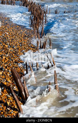 Erodierte Meeresschutzgebiete und Stachelroynes im Rye Harbour Nature Reserve, East Sussex, England bei Wintersonne. Stockfoto