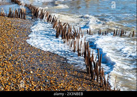 Erodierte Meeresschutzgebiete und Stachelroynes im Rye Harbour Nature Reserve, East Sussex, England bei Wintersonne. Stockfoto