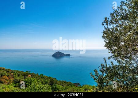 Gallinara, eine herrliche Insel im Ligurischen Meer, zwischen Alassio und Albenga Stockfoto