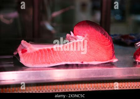 Japanischer Premium-Thunfisch auf einem Lebensmittelmarkt in Osaka in Japan. Stockfoto