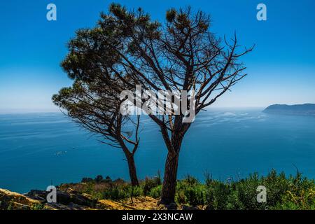 Gallinara, eine herrliche Insel im Ligurischen Meer, zwischen Alassio und Albenga Stockfoto