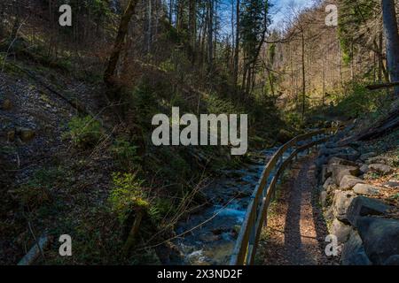 Schöne Frühlingswanderung zum Niedersonthofen Wasserfall durch den Falltobel bei Niedersonthofen im Allgau Stockfoto