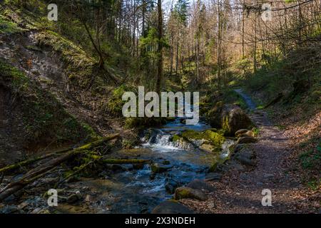Schöne Frühlingswanderung zum Niedersonthofen Wasserfall durch den Falltobel bei Niedersonthofen im Allgau Stockfoto