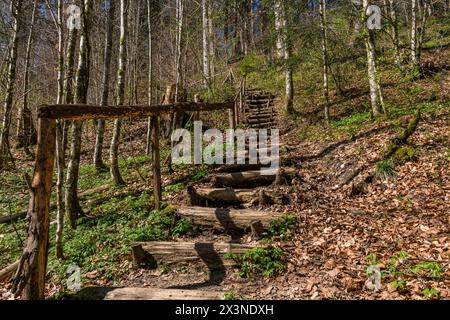 Schöne Frühlingswanderung zum Niedersonthofen Wasserfall durch den Falltobel bei Niedersonthofen im Allgau Stockfoto