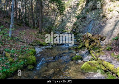 Schöne Frühlingswanderung zum Niedersonthofen Wasserfall durch den Falltobel bei Niedersonthofen im Allgau Stockfoto