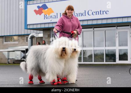 Royal Highland Centre Hundeshow Schottland schottischer Zwinger Club Stockfoto