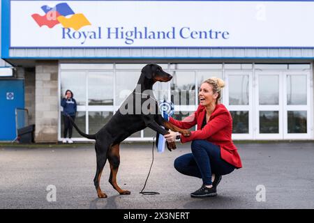 Royal Highland Centre Hundeshow Schottland schottischer Zwinger Club Stockfoto