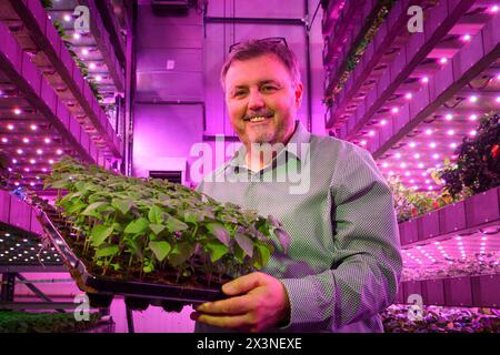 James Hutton Institute vertikale Indoor Farm Hydroponic Grow Room Inteligent groth Solutions Food Stockfoto