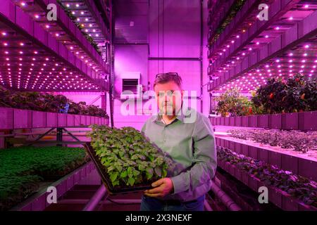 James Hutton Institute vertikale Indoor Farm Hydroponic Grow Room Inteligent groth Solutions Food Stockfoto