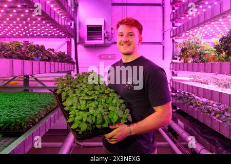 James Hutton Institute vertikale Indoor Farm Hydroponic Grow Room Inteligent groth Solutions Food Stockfoto