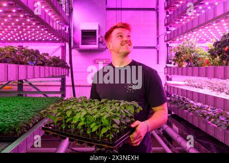 James Hutton Institute vertikale Indoor Farm Hydroponic Grow Room Inteligent groth Solutions Food Stockfoto