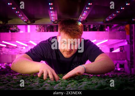 James Hutton Institute vertikale Indoor Farm Hydroponic Grow Room Inteligent groth Solutions Food Stockfoto