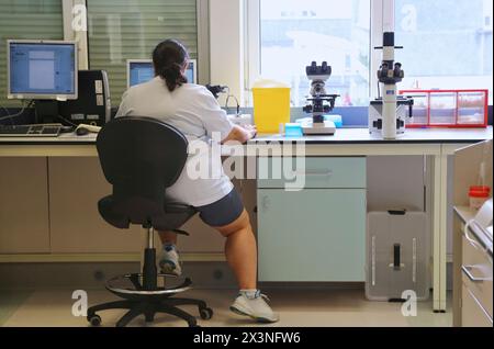 Celular Cultures, Abteilung Mikrobiologie, Donostia Hospital, San Sebastian, Donostia, Gipuzkoa, Baskenland, Spanien Stockfoto