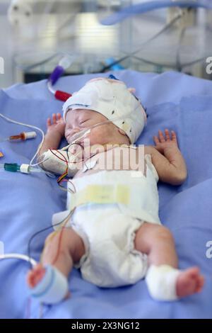 Neugeborene, Neugeborene Intensive care Unit, Donostia Hospital, San Sebastian, Donostia, Gipuzkoa, Baskenland, Spanien Stockfoto