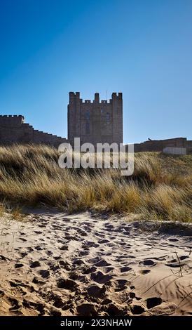 Bamburgh Castle Turm vom Strand mit Sand und Dünengräsern. Stockfoto