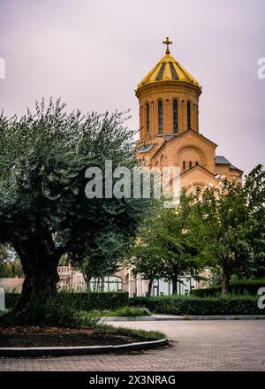 Alte Olivenbaumstandin vor der Sameba Kathedrale in Tiflis (Georgien) an einem bewölkten Nachmittag Stockfoto