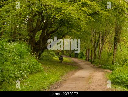 Das Wildnis Naturschutzgebiet Stockfoto