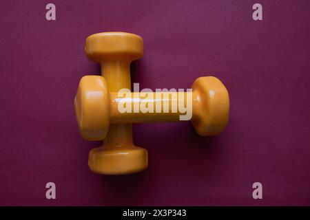 Zwei orangefarbene Kurzhanteln auf rotem Hintergrund mit Kopierraum. Ein Werkzeug für Training, Sport und Aktivität im Sommer. Stockfoto