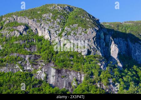 Ein Abschnitt des Eagle Cliff in Franconia Notch in den New Hampshire White Mountains. Diese Klippe wurde 1858 vom Reverend Thomas Hill nach ihm benannt Stockfoto