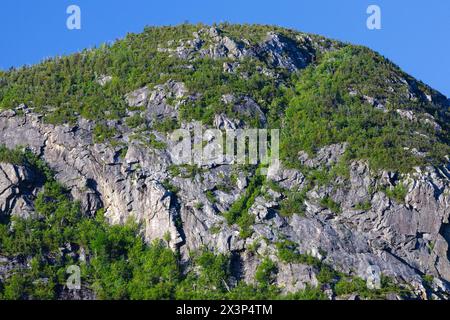 Ein Abschnitt des Eagle Cliff in Franconia Notch in den New Hampshire White Mountains. Diese Klippe wurde 1858 vom Reverend Thomas Hill nach ihm benannt Stockfoto